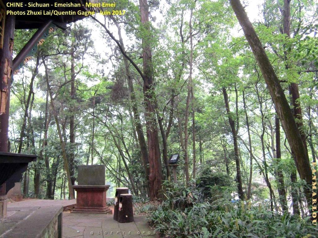 Emeishan 008.JPG